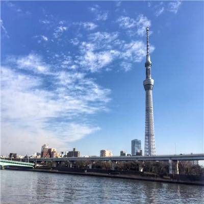 大军师全面战争手游下载