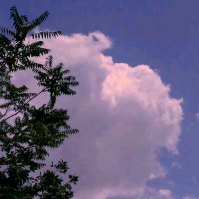 择天仙诀手游九游版下载