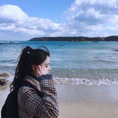 鸟雄手游下载